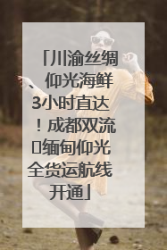 川渝丝绸、仰光海鲜3小时直达！成都双流⇌缅甸仰光全货运航线开通