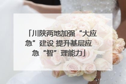 川陕两地加强“大应急”建设 提升基层应急“智”理能力