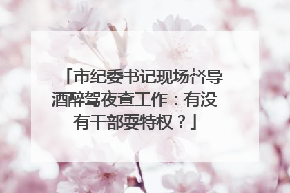 市纪委书记现场督导酒醉驾夜查工作：有没有干部耍特权？