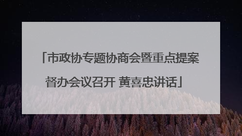市政协专题协商会暨重点提案督办会议召开 黄喜忠讲话