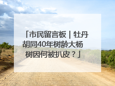 市民留言板｜牡丹胡同40年树龄大杨树因何被扒皮？