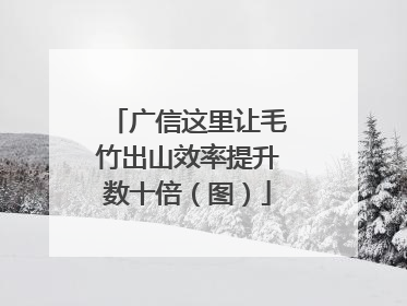 广信这里让毛竹出山效率提升数十倍（图）