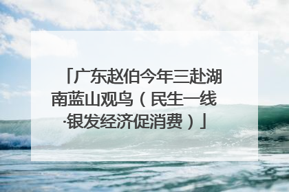 广东赵伯今年三赴湖南蓝山观鸟（民生一线·银发经济促消费）
