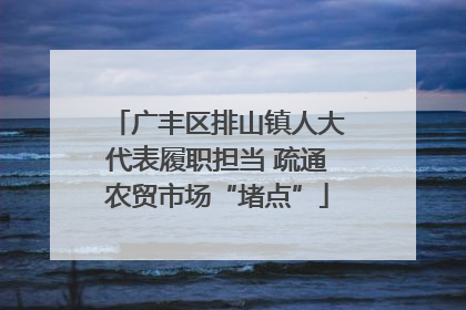 广丰区排山镇人大代表履职担当 疏通农贸市场“堵点”