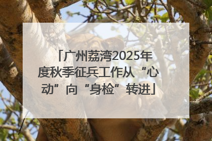 广州荔湾2025年度秋季征兵工作从“心动”向“身检”转进