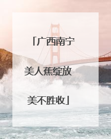 广西南宁美人蕉绽放美不胜收