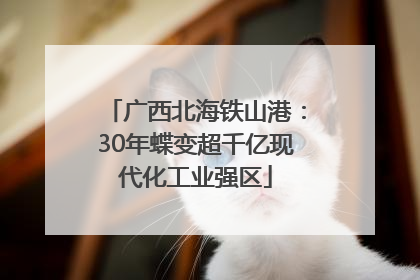 广西北海铁山港：30年蝶变超千亿现代化工业强区