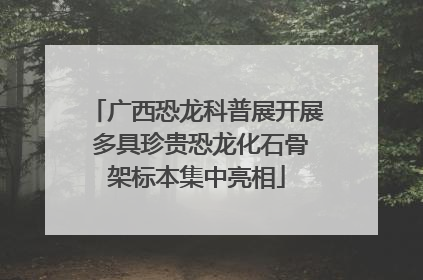 广西恐龙科普展开展 多具珍贵恐龙化石骨架标本集中亮相