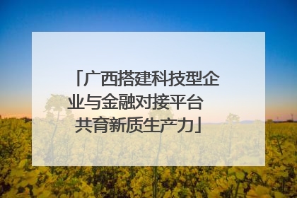 广西搭建科技型企业与金融对接平台 共育新质生产力