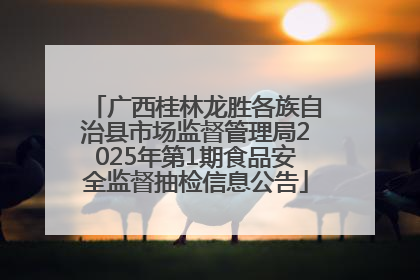 广西桂林龙胜各族自治县市场监督管理局2025年第1期食品安全监督抽检信息公告