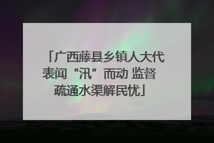 广西藤县乡镇人大代表闻“汛”而动 监督疏通水渠解民忧