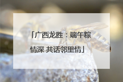 广西龙胜：端午粽情深 共话邻里情