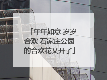 年年如意 岁岁合欢 石家庄公园的合欢花又开了