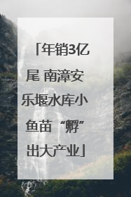 年销3亿尾 南漳安乐堰水库小鱼苗“孵”出大产业