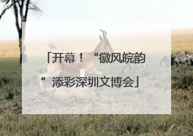 开幕！“徽风皖韵”添彩深圳文博会