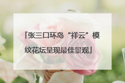 张三口环岛“祥云”模纹花坛呈现最佳景观