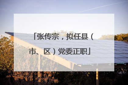 张传宗，拟任县（市、区）党委正职