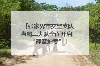 张家界市交警支队直属二大队全面开启“静音护考”
