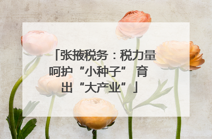 张掖税务：税力量呵护“小种子” 育出“大产业”