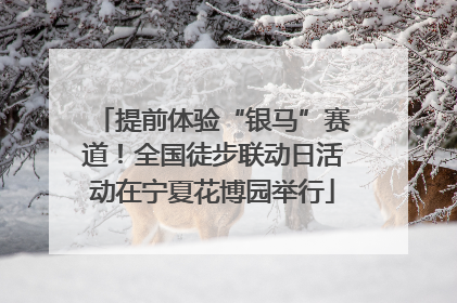 提前体验“银马”赛道！全国徒步联动日活动在宁夏花博园举行
