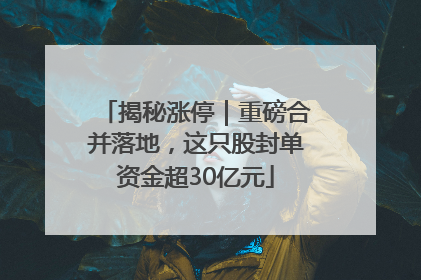 揭秘涨停｜重磅合并落地，这只股封单资金超30亿元