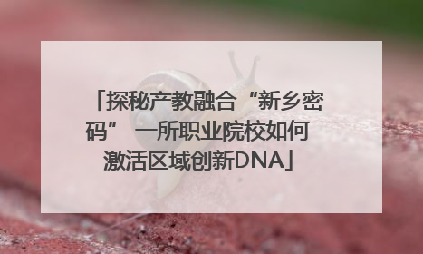 探秘产教融合“新乡密码” 一所职业院校如何激活区域创新DNA