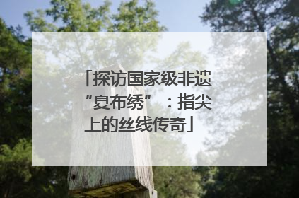 探访国家级非遗“夏布绣”：指尖上的丝线传奇
