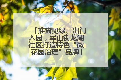 推窗见绿、出门入园，军山街龙湖社区打造特色“微花园治理”品牌