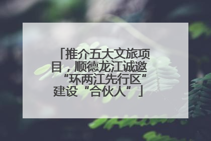 推介五大文旅项目，顺德龙江诚邀“环两江先行区”建设“合伙人”