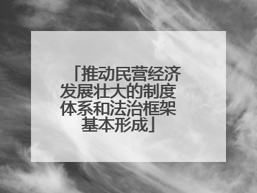 推动民营经济发展壮大的制度体系和法治框架基本形成