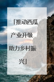 推动西瓜产业升级 助力乡村振兴