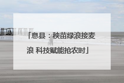 息县：秧苗绿浪接麦浪 科技赋能抢农时