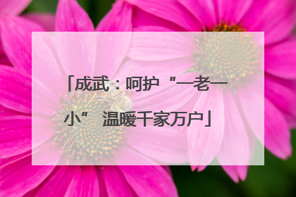 成武：呵护“一老一小” 温暖千家万户
