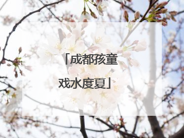 成都孩童戏水度夏