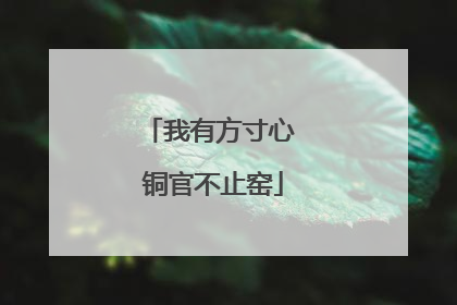我有方寸心 铜官不止窑