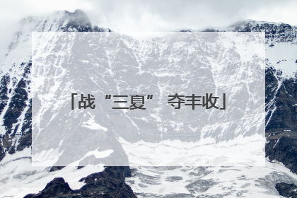 战“三夏” 夺丰收
