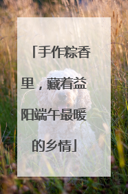 手作粽香里，藏着益阳端午最暖的乡情