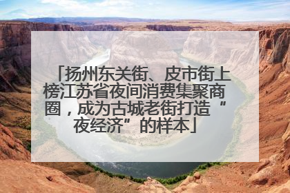 扬州东关街、皮市街上榜江苏省夜间消费集聚商圈，成为古城老街打造“夜经济”的样本