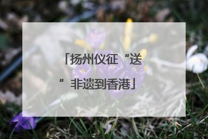扬州仪征“送”非遗到香港