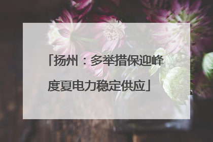扬州：多举措保迎峰度夏电力稳定供应