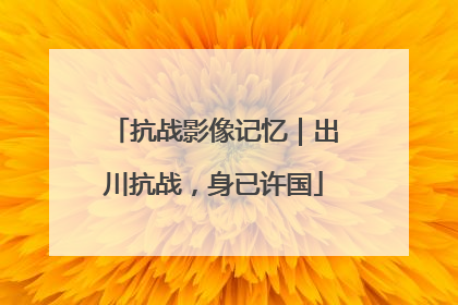 抗战影像记忆｜出川抗战，身已许国