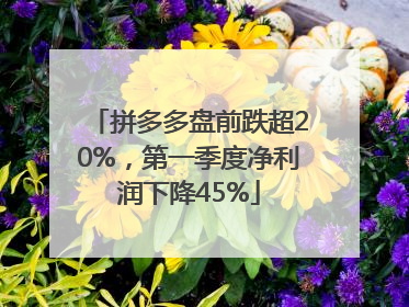 拼多多盘前跌超20%，第一季度净利润下降45%
