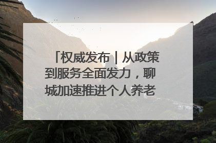 权威发布｜从政策到服务全面发力，聊城加速推进个人养老金制度落地