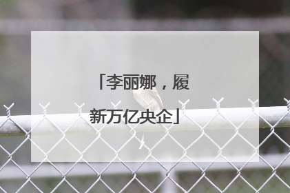 李丽娜，履新万亿央企