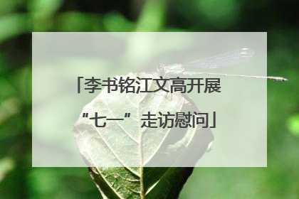 李书铭江文高开展“七一”走访慰问