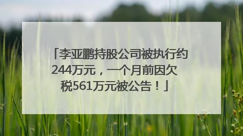 李亚鹏持股公司被执行约244万元，一个月前因欠税561万元被公告！