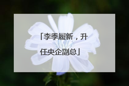 李季履新，升任央企副总