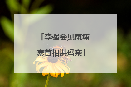 李强会见柬埔寨首相洪玛奈