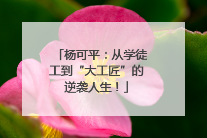 杨可平：从学徒工到“大工匠”的逆袭人生！
