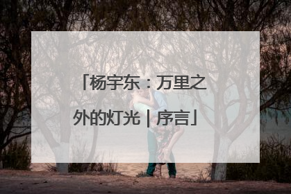 杨宇东：万里之外的灯光｜序言